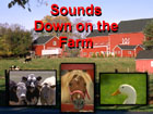 Farm Screen